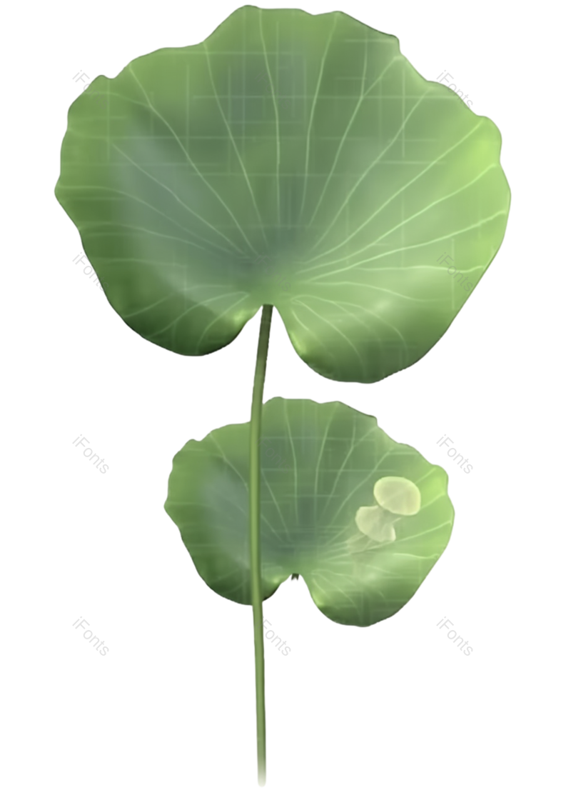 叶子图片,清新元素,夏天PNG,插画免抠素材